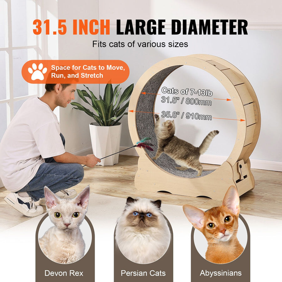 Cat Exercise Wheel Large Treadmill Wheel for Indoor Cats - KAZIPAWS