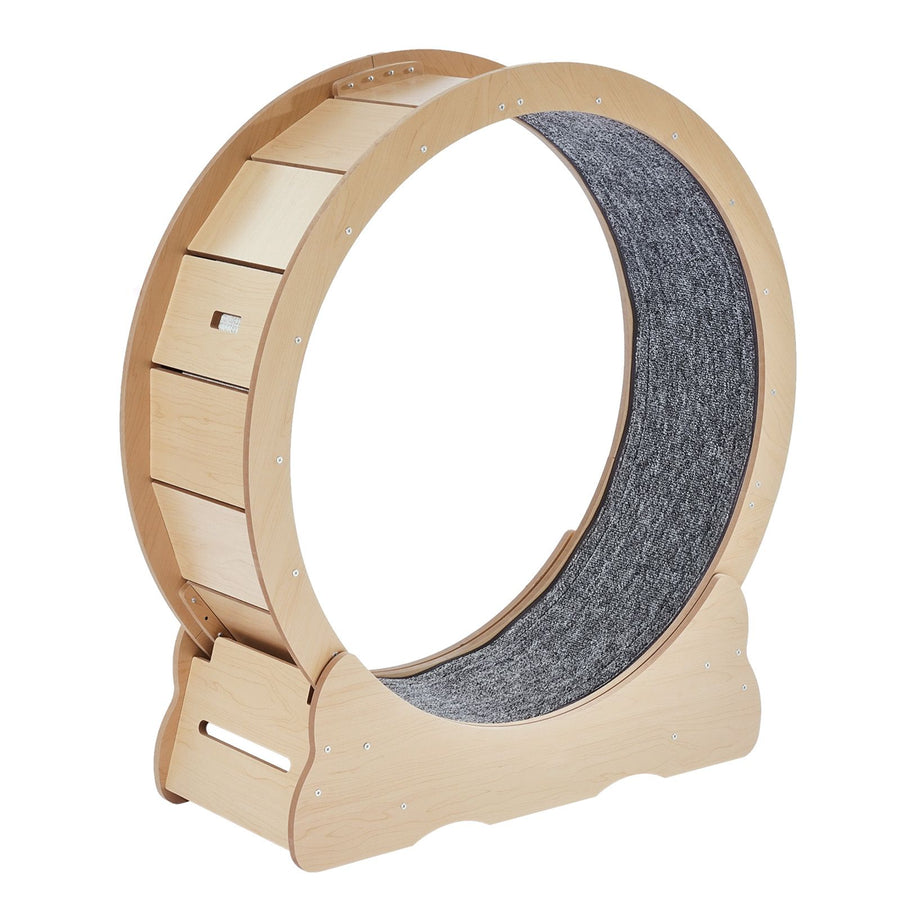 Cat Exercise Wheel Large Treadmill Wheel for Indoor Cats - KAZIPAWS