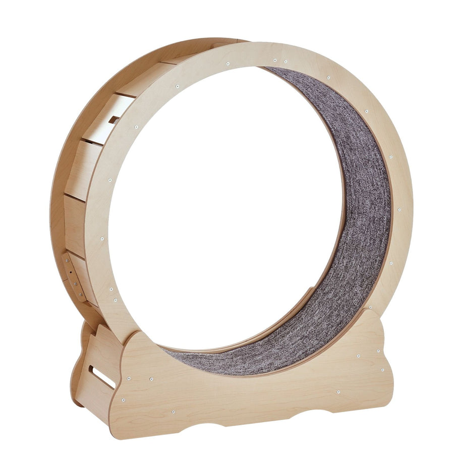 Cat Exercise Wheel Large Treadmill Wheel for Indoor Cats - KAZIPAWS